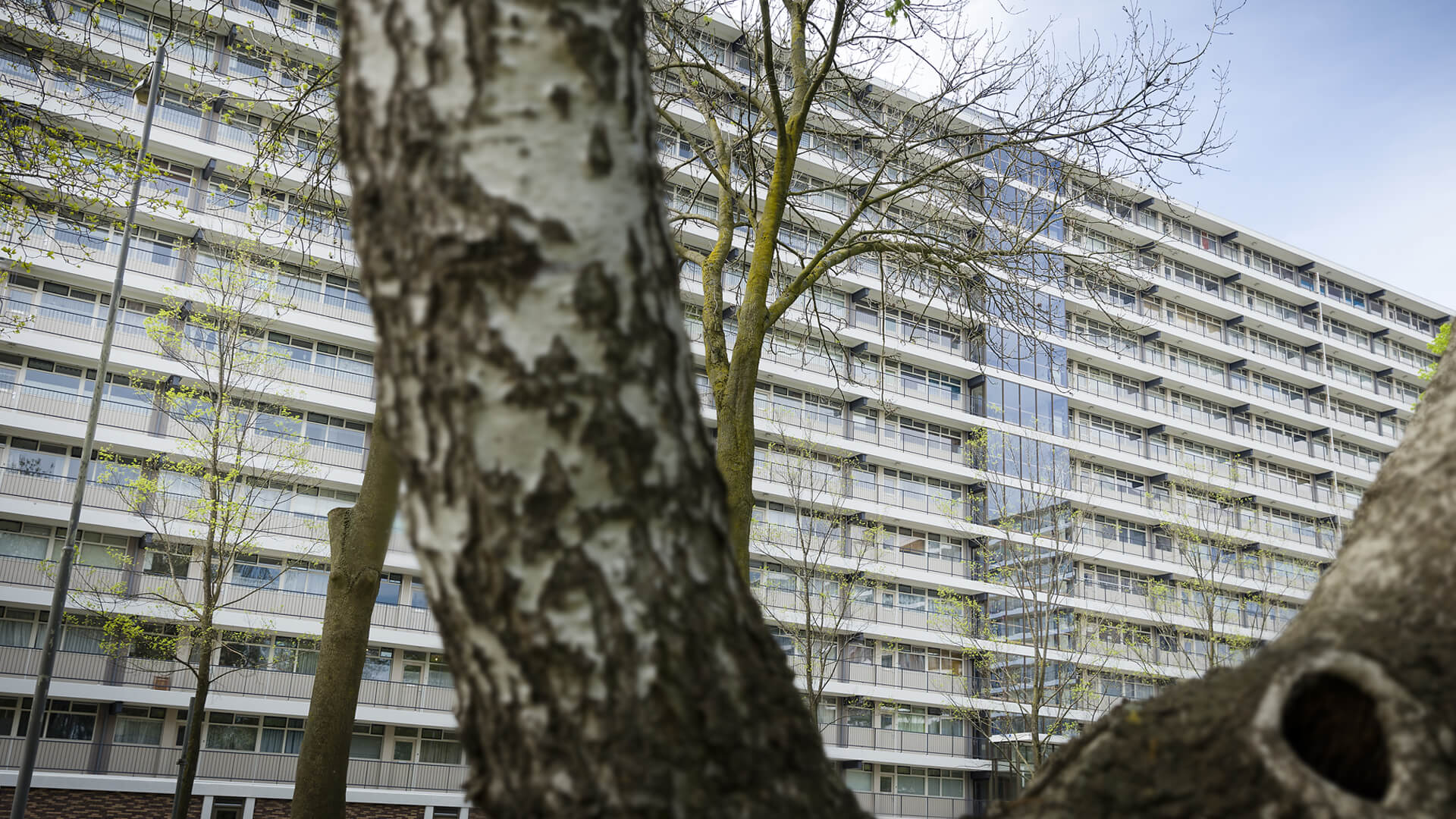 Eraflats Rotterdam
