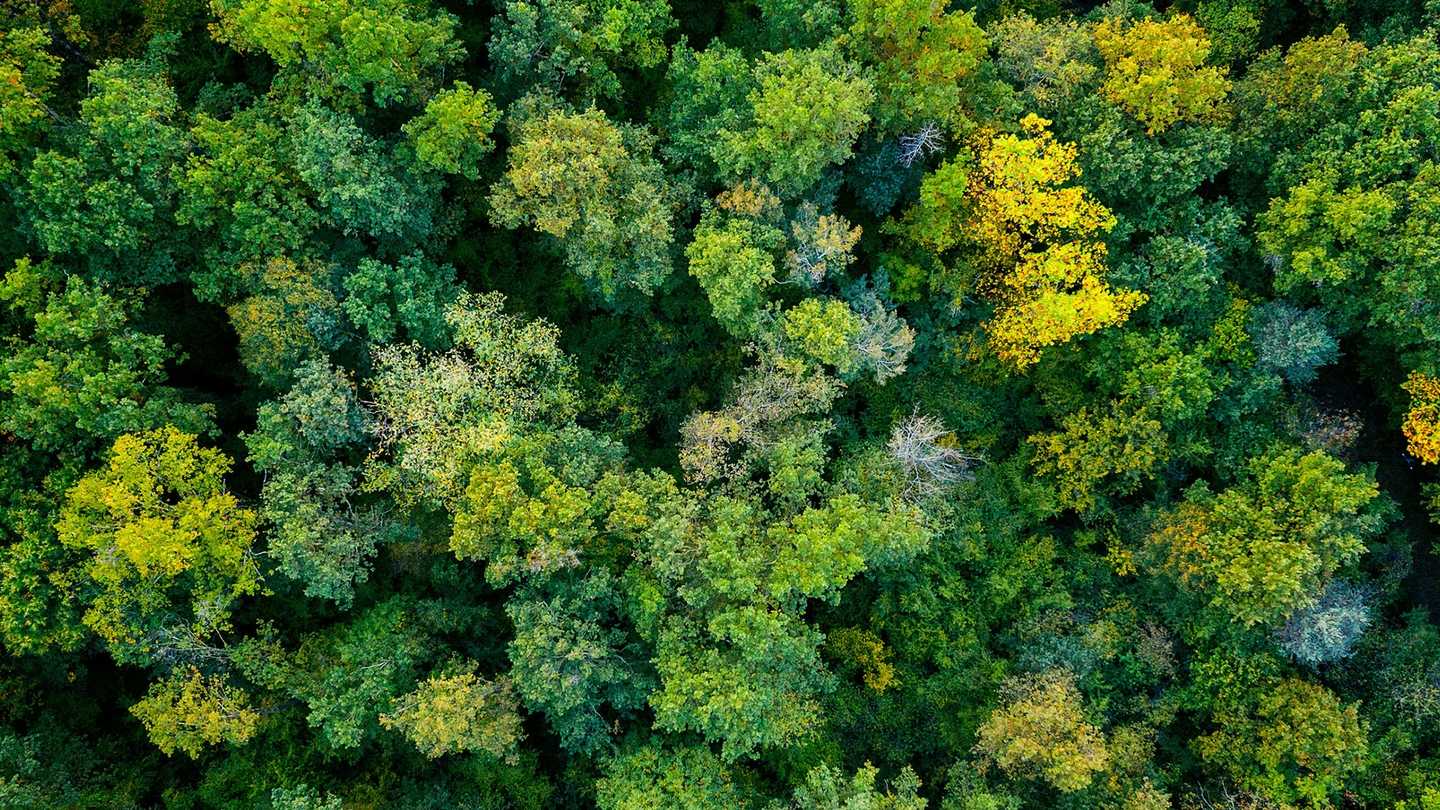66 Co2 Reductie Dankzij Innovatieve Duurzaamheidsstrategie